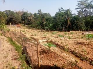 Dinilai Tidak transparan Soal Program Ketahanan Pangan, Ini Celoteh Warga Desa Sindangpano